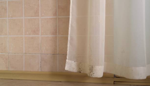 Best Mold Documentation for Insurance Claims  in Senoia, GA