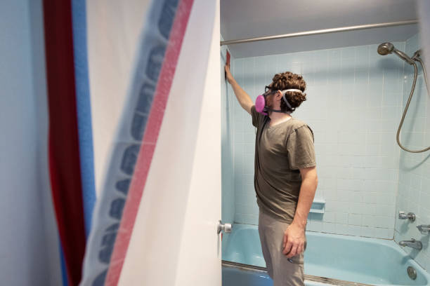 Senoia, GA Mold Removal Company