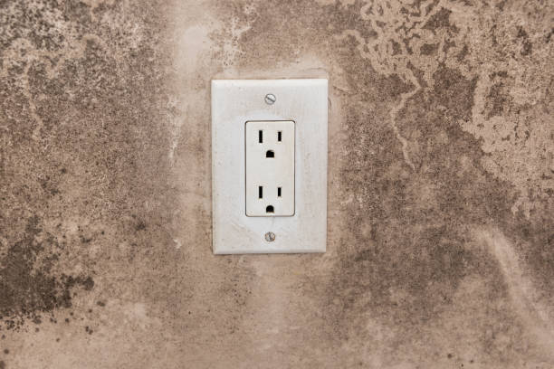 Best Water Damage & Mold Remediation  in Senoia, GA