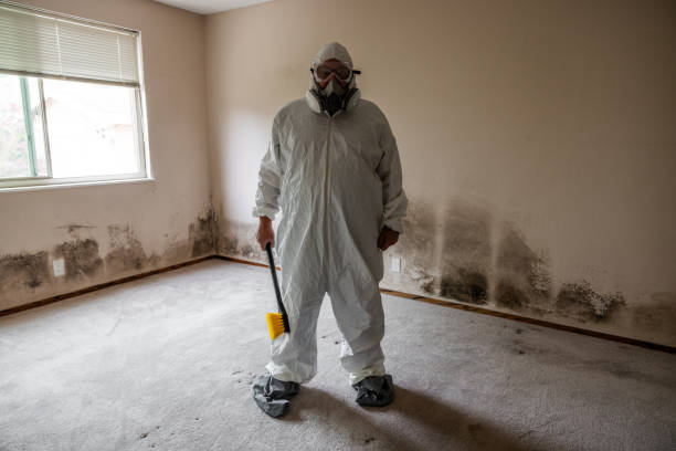 Best Real Estate Mold Inspection  in Senoia, GA